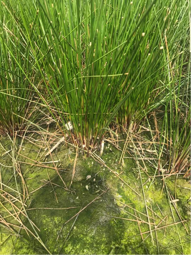 奉化旅游团一日游,奉化乡村一日游最佳景点