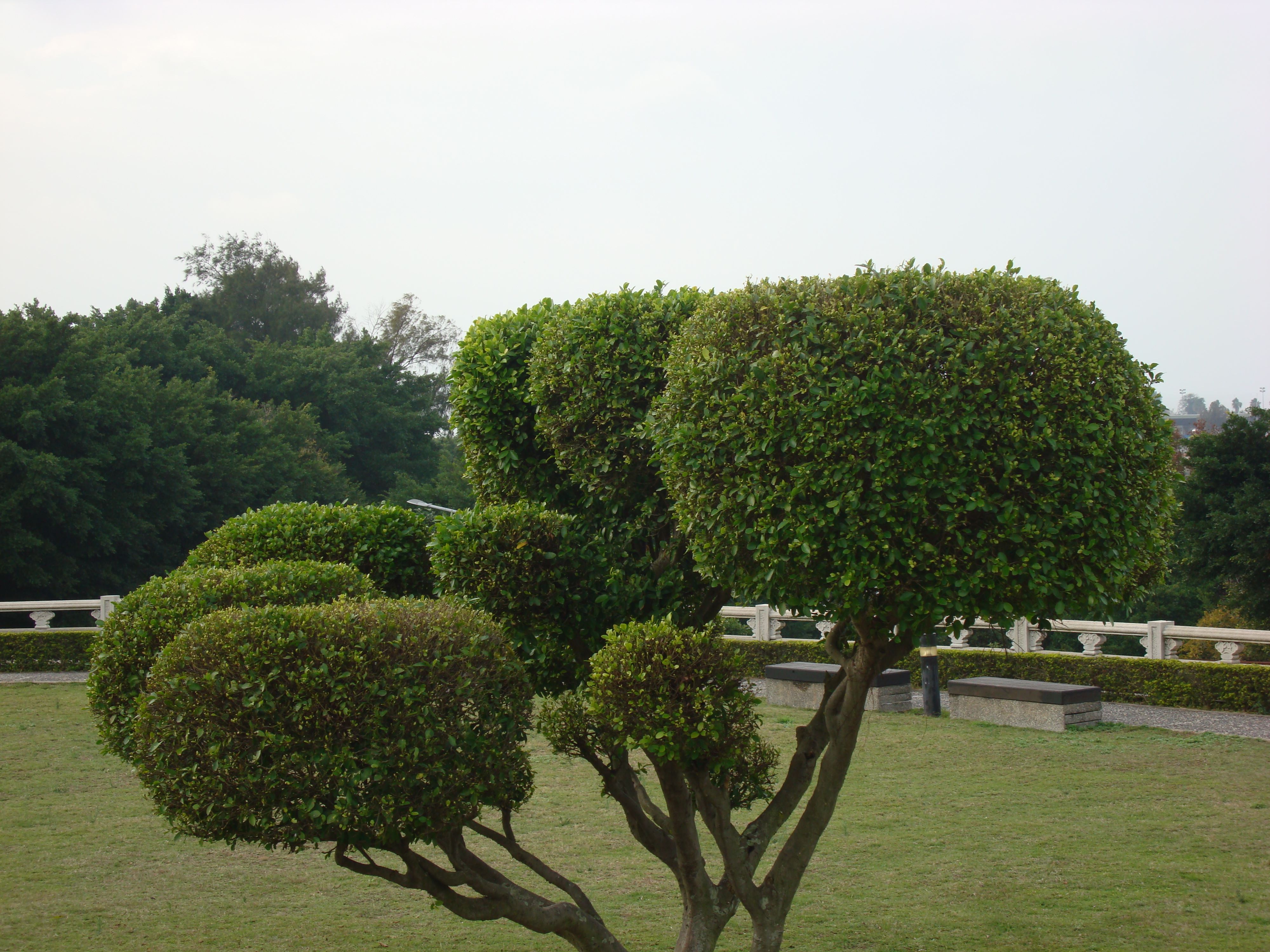 台湾必打卡的地方,我的台湾环岛之旅