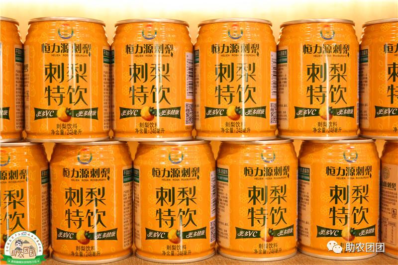 刺梨功能营养饮料,助农团团营养餐