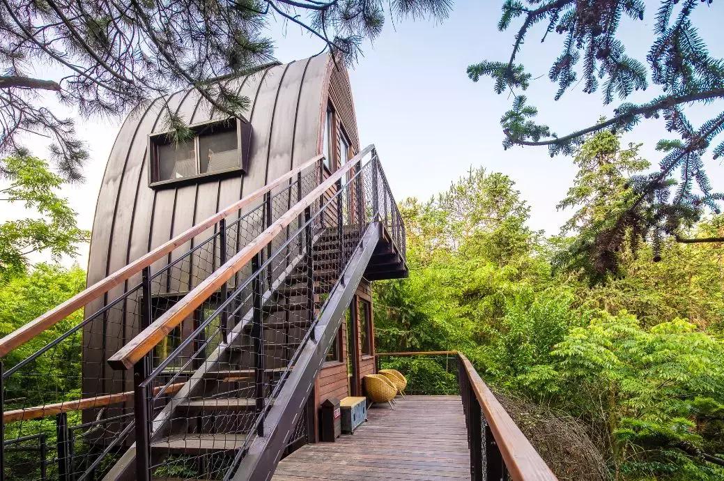 杭州1.5h就有不输清迈的丛林树屋