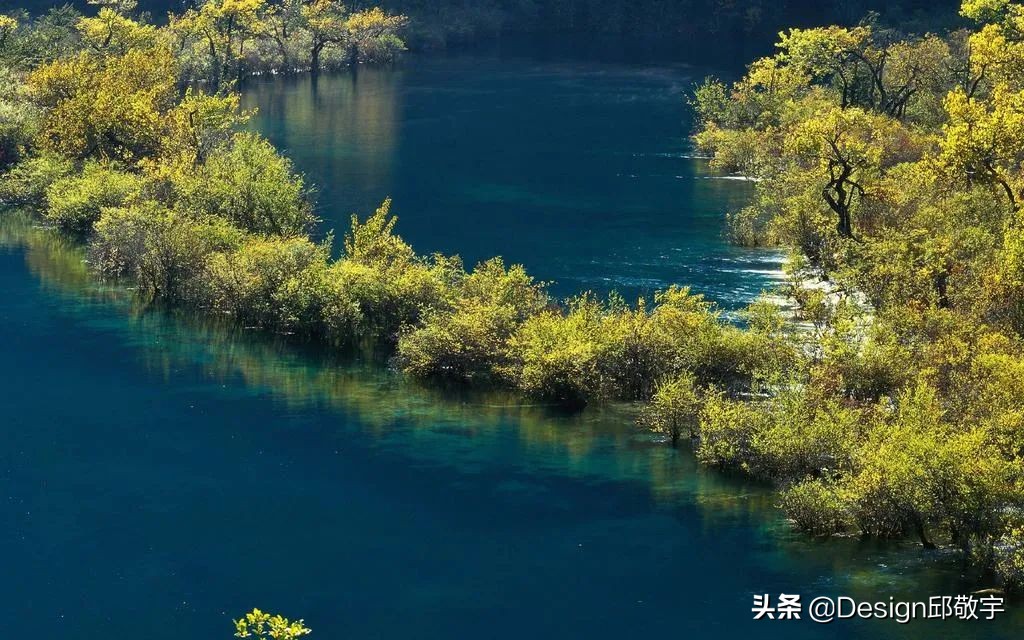 丽思卡尔顿全球度假村,丽思卡尔顿中国区酒店