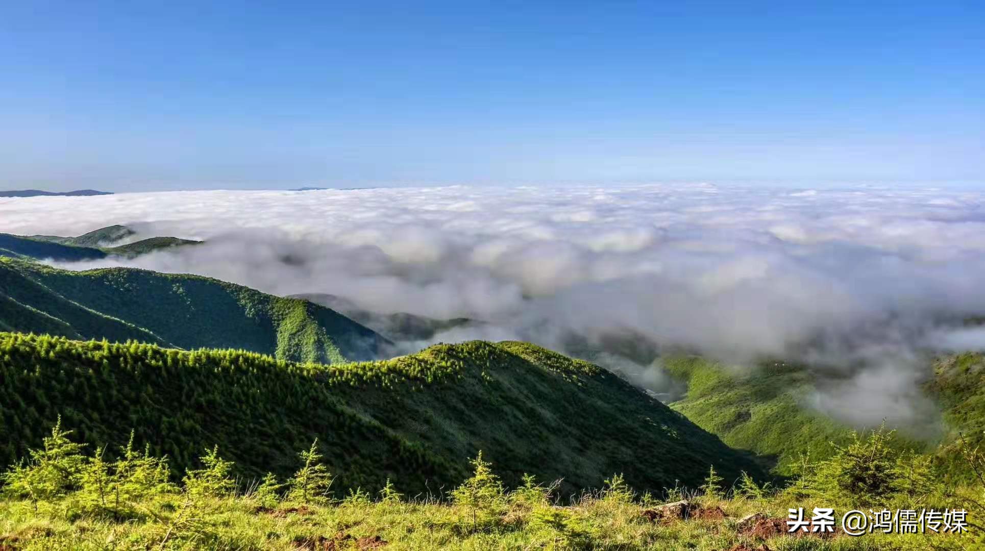 陇头水诗词,陇头水二首古诗