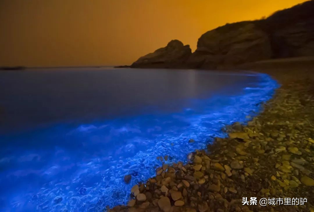 马代为什么那么贵,马代哪些岛不好