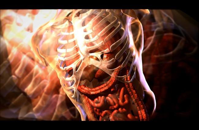 *体器人官**偷盗的罪与罚