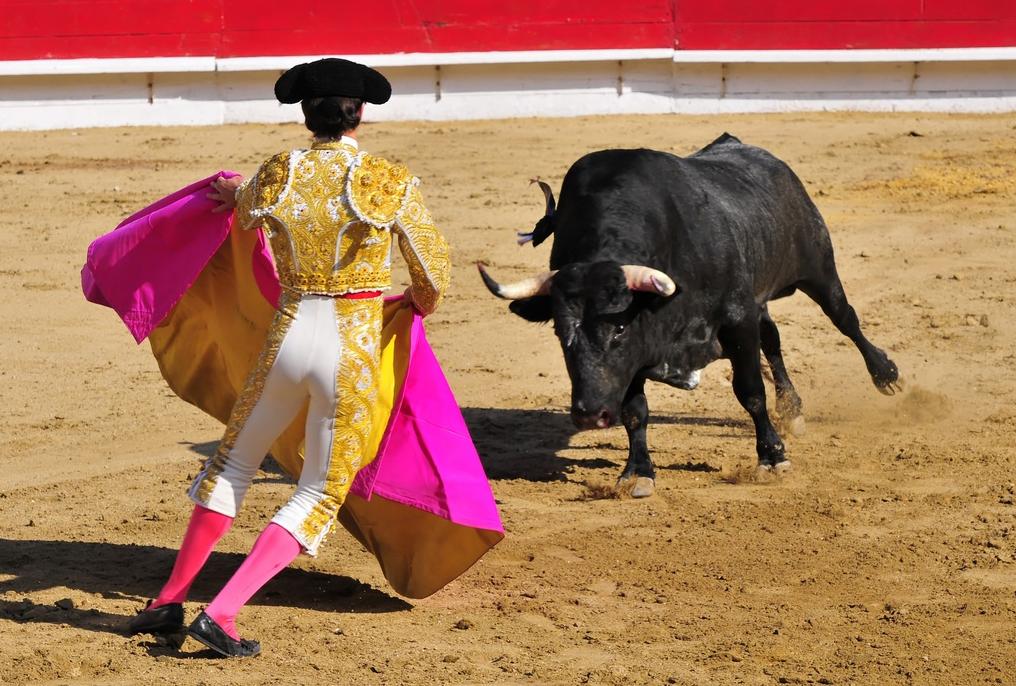 你在为谁吃饭？4第二基因组与行为改变—猫怕老鼠，老虎爱上羊