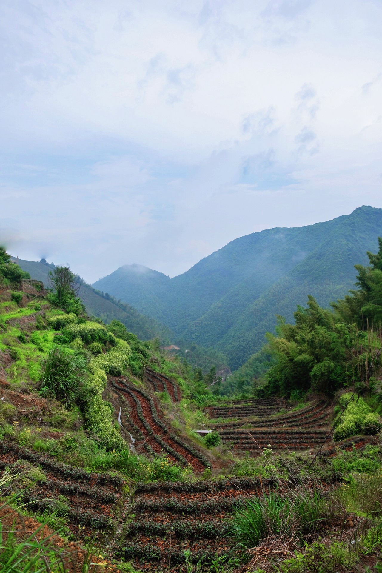 遂昌仙峡湖网红绿道在哪里,遂昌仙峡湖
