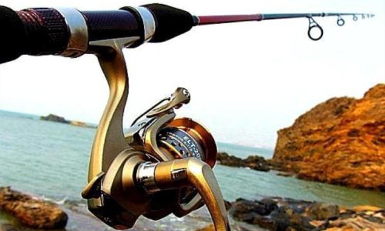 手竿钓鲢鳙7米2选择什么鱼竿,钓翘嘴9米鱼竿和10米鱼竿选择