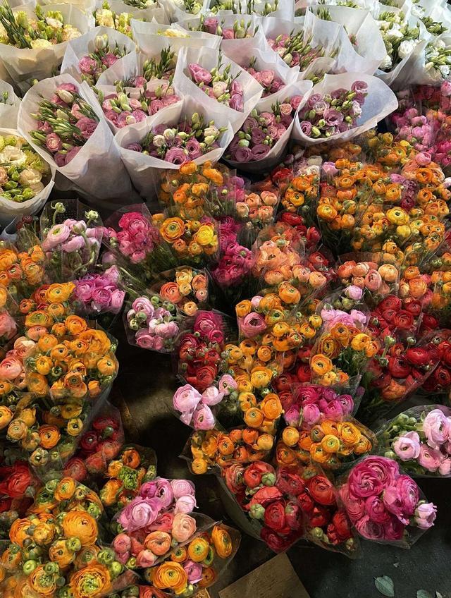 成都最值得逛的花卉市场,成都可以逛的花市