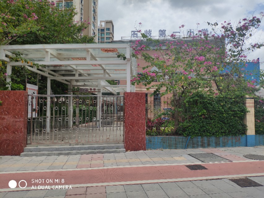 中山最热闹的地方是哪,中山市区哪里最热闹