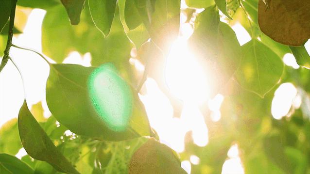 寒疫期间,男女各有一个部位万万冻不得,小心落下病根