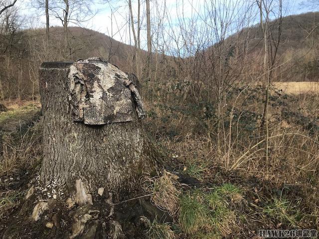 迷彩伪装效果图片,美军acu迷彩服伪装效果