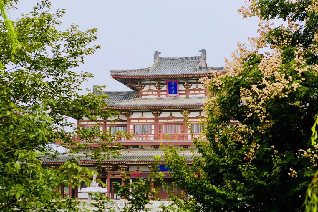 闆佸citywalk濂栭」璇勬瘮 (闆佸citywalk绾胯矾璁捐澶ц禌)