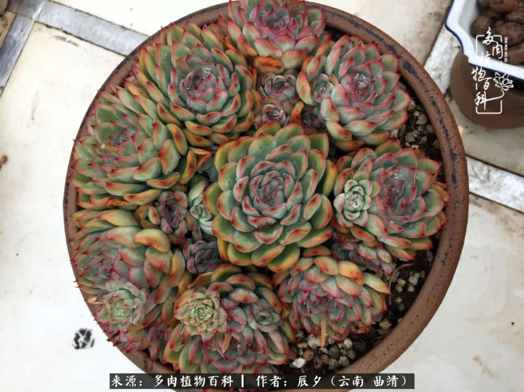 缂辩换鏃栨棊钁宠暏鐢熼,缂辩换鏃栨棊钁宠暏鐢熼鍑哄