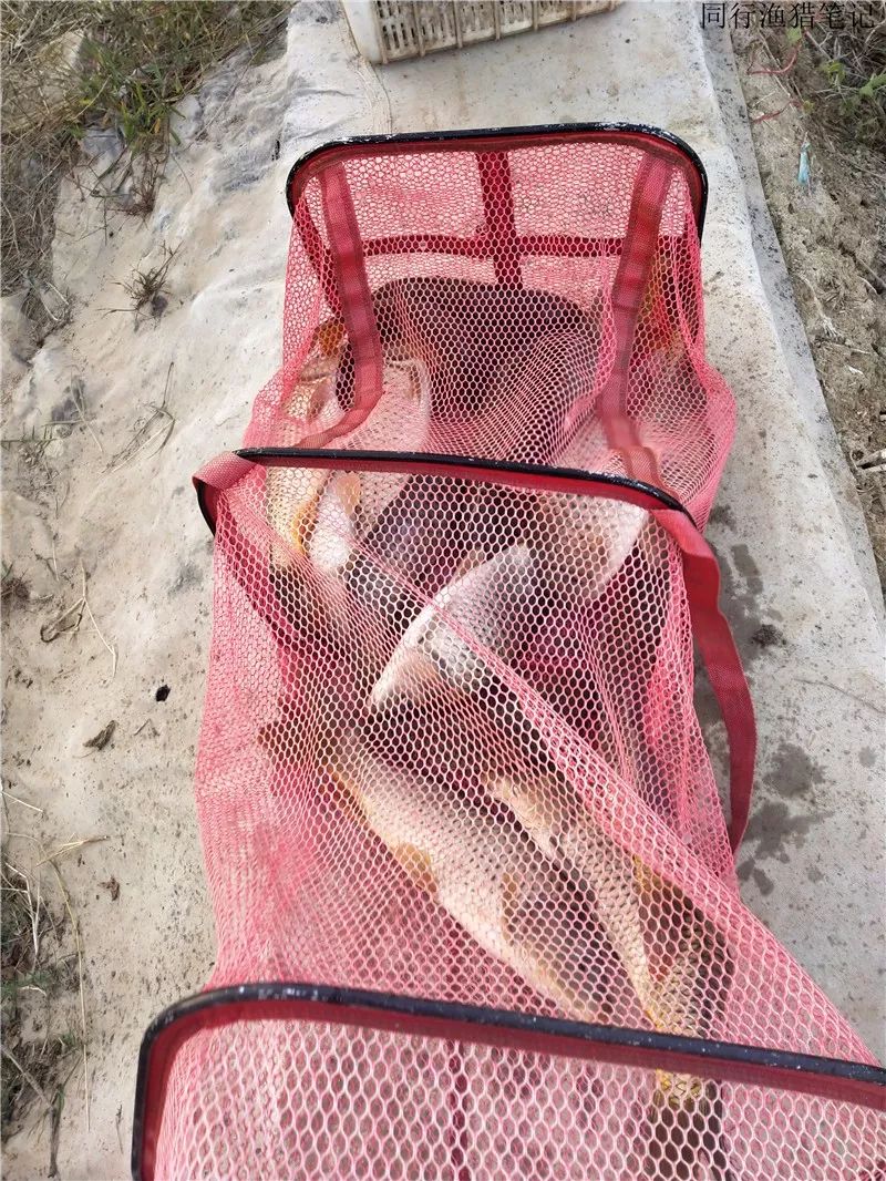 钓鱼笔记1,钓鱼笔记最新视频