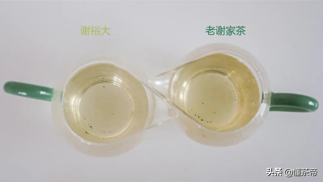 谢裕大和老谢家茶是一家吗,黄山毛峰谢裕大是什么茶