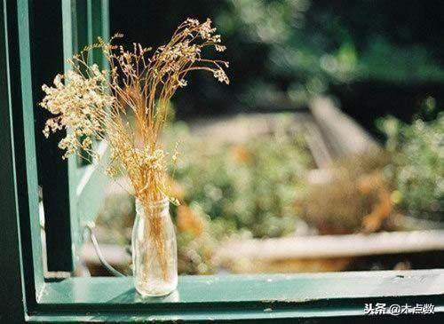 世态炎凉人心难测的经典句子,世态炎凉最冷不过人心的句子