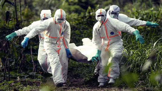 金砖变成板砖了,金砖变板砖怎么玩