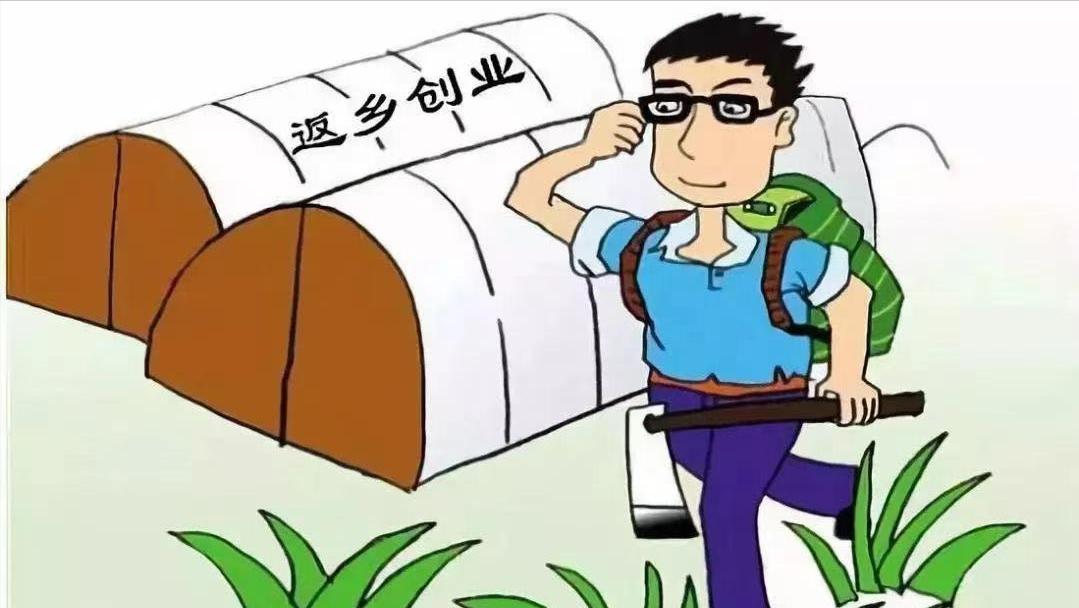 现在年轻人适合创业还是工作,好多年轻人都不愿意上班