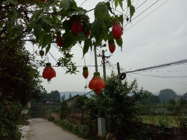 走进安静祥和的乡村,走进宁静的小镇