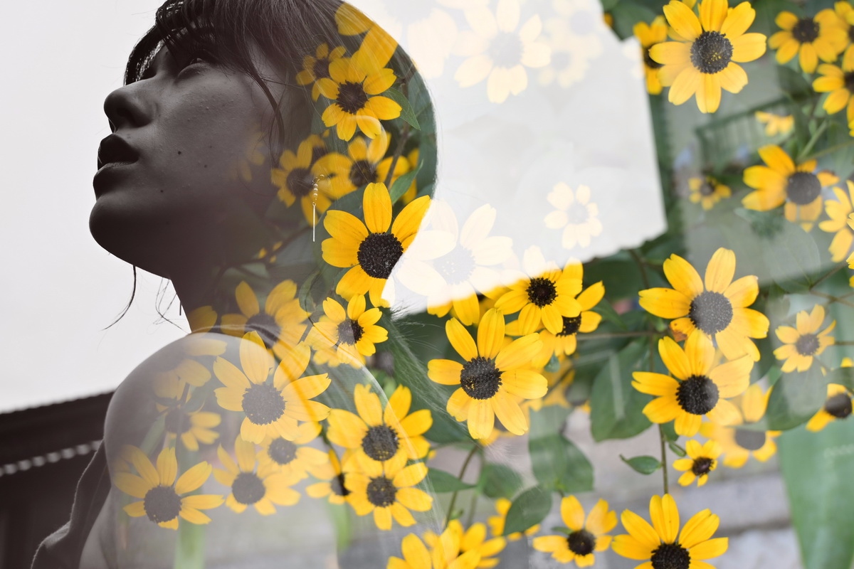 尼康值得入手的微单镜头,尼康即将发布的最强微单