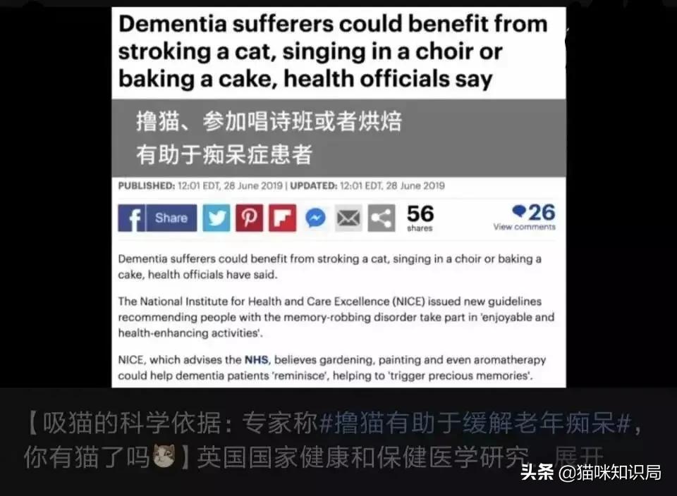 转发给爸妈：养猫到底有啥好？能治病