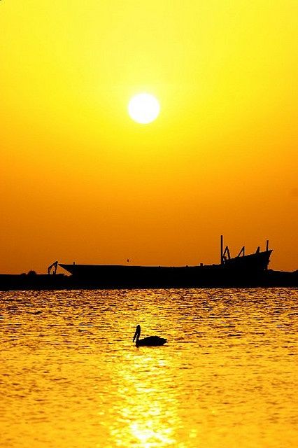 窗户东边开,健康自然来。不看不知道,一看必记牢