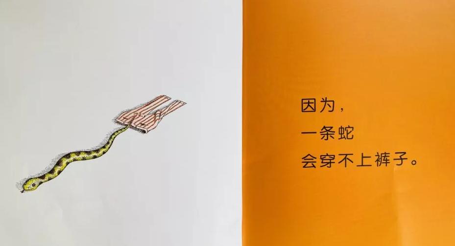 适合5-6岁幼儿看的动物绘本,动物科普绘本