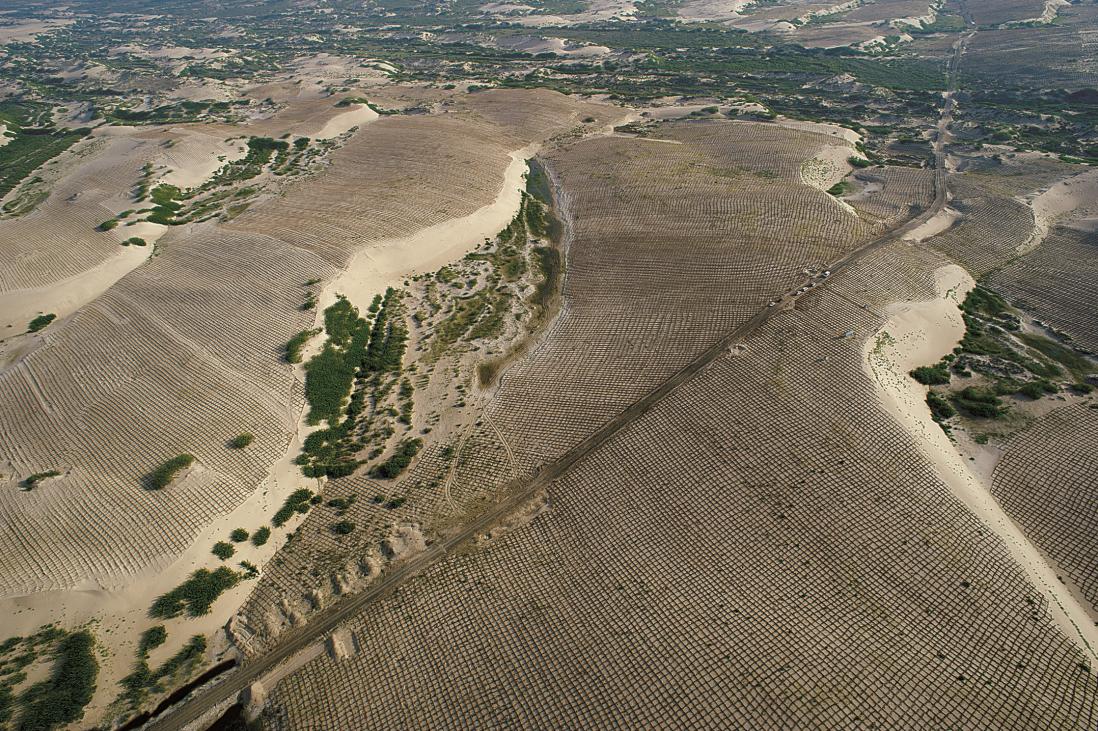 中国三北植树造林,中国植树造林工程