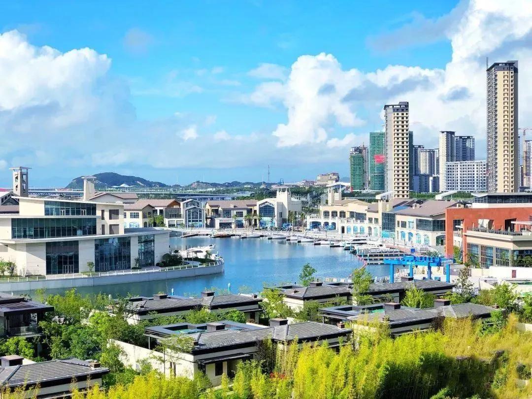 陈文令麦道夫最新信息 (陈文令对麦道夫的评价)