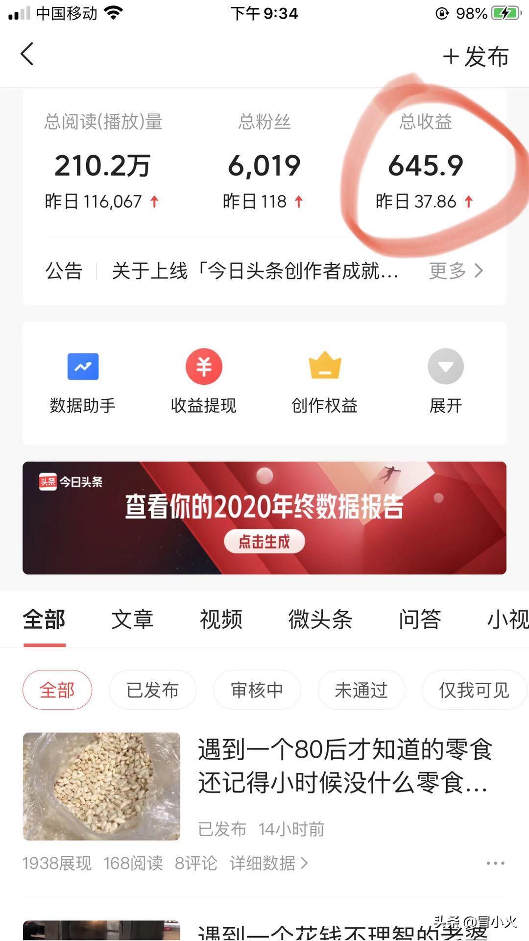 做旅游两个月赚了100万,旅游行业一年挣1000万