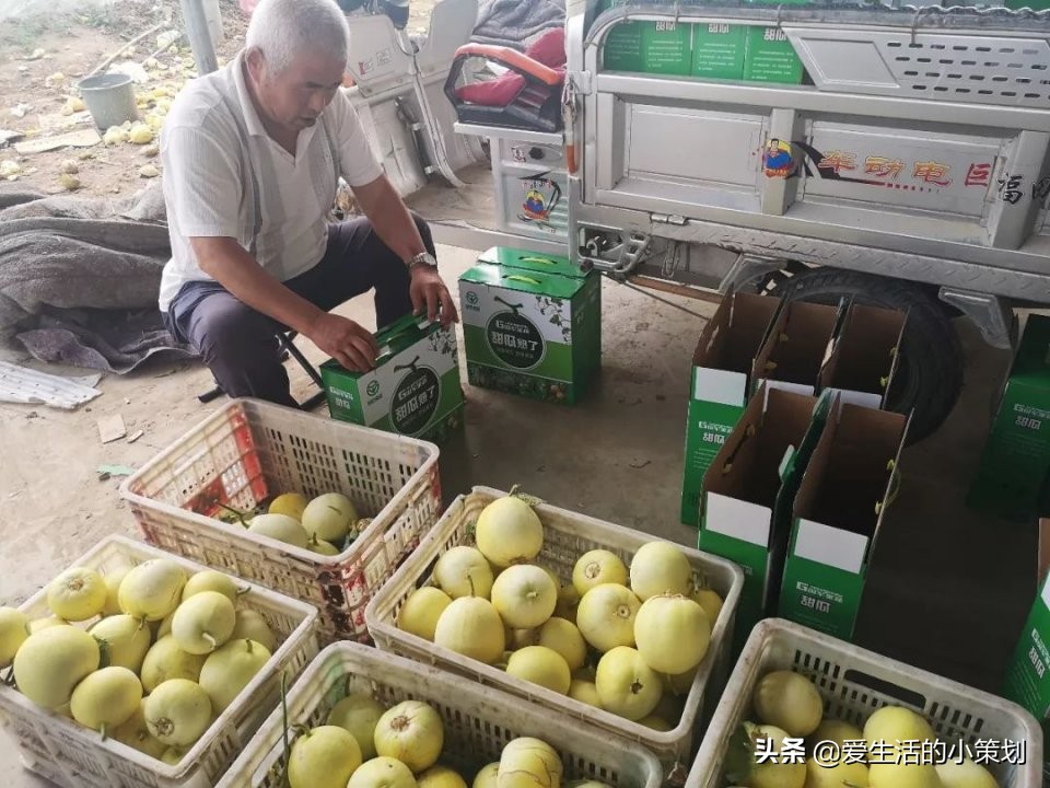 新河县农村扶贫政策,打通百姓致富路最后一公里
