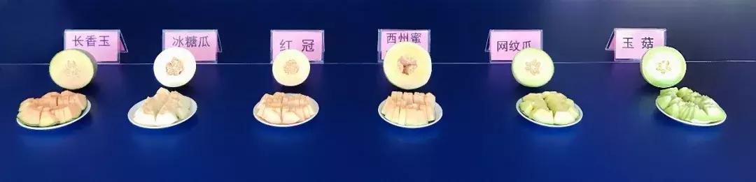 铚滅摐娴嬭瘎,铚滅摐瀵规瘮娴嬭瘎