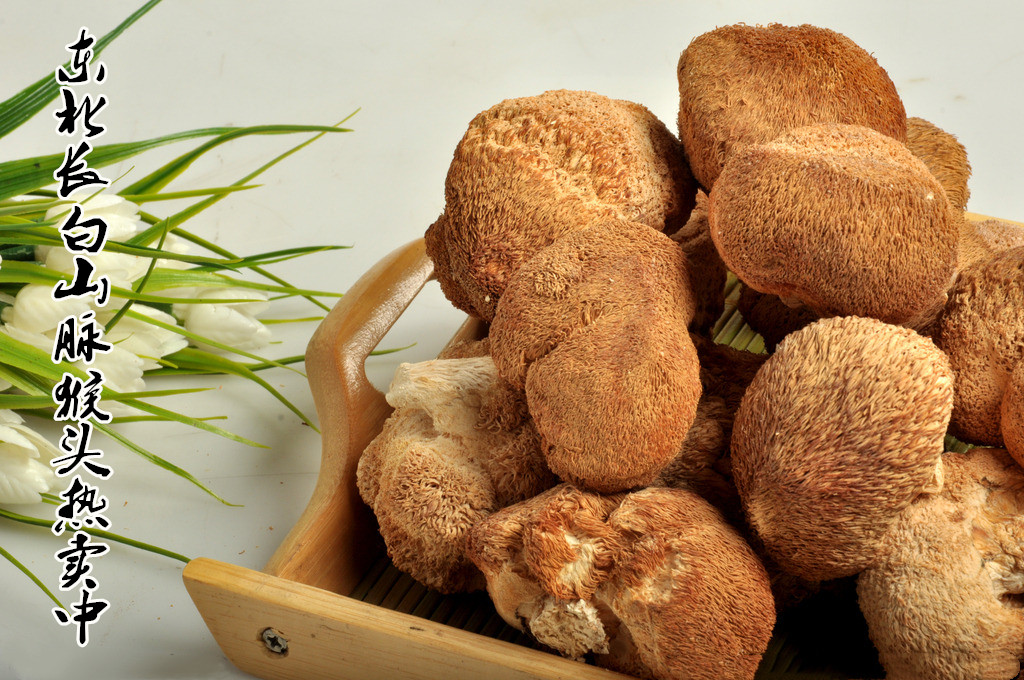 正宗长白山猴头菇干货,东北著名土特产天然野生猴头菇