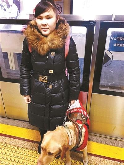 边牧不训练会不会成傻狗,边牧犬为什么不建议养成