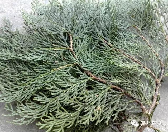 嵩县十年前的春节,嵩县的春节习俗是什么