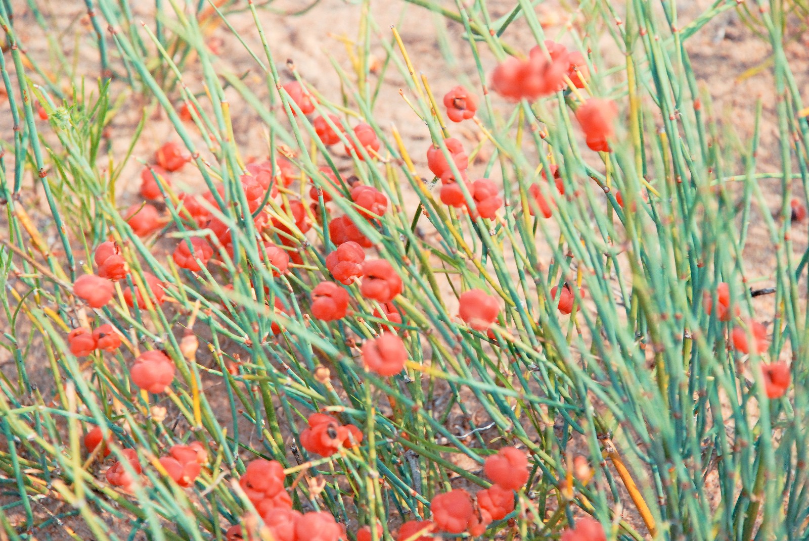 中医治疗癌症原理,从中医角度说感冒