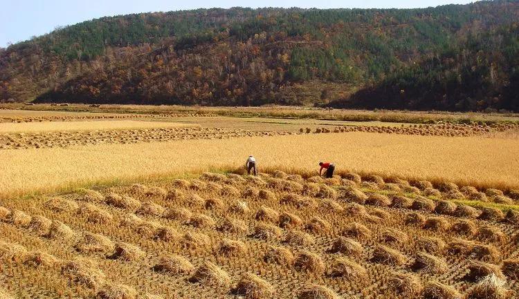 庆阳历史有多久,庆阳历史悠久的古城