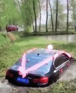 搞笑动图gif图片,搞笑动图gif图片合集