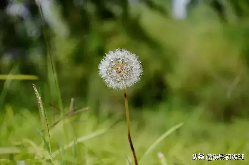 摄影入门教程光圈快门iso曝光,摄影初学者如何调整光圈