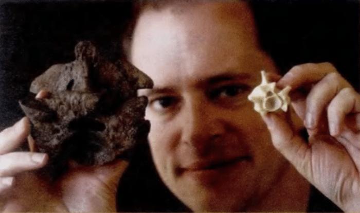 蛇洞里发现了一条世界上最大的蛇,亚马逊最大的蛇是什么蛇