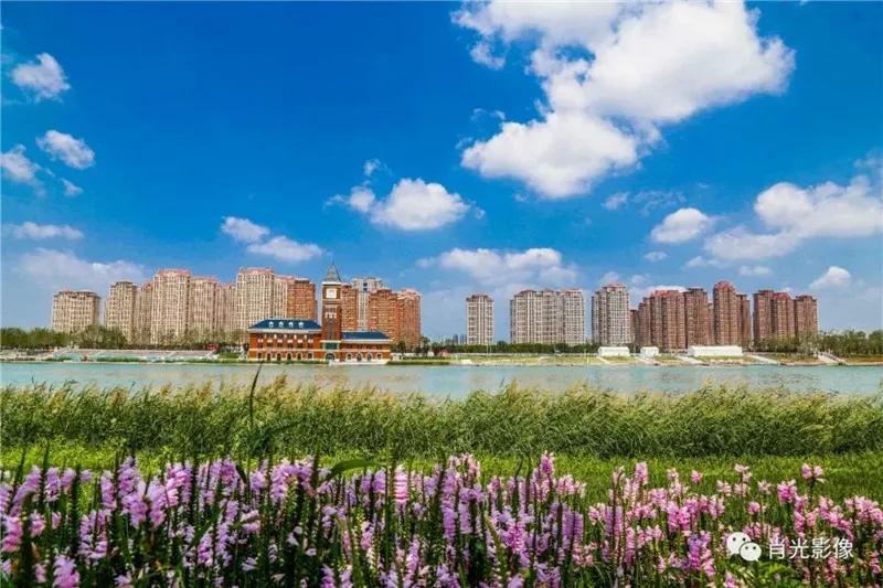 东丽区有发展吗,天津东丽区为什么没发展