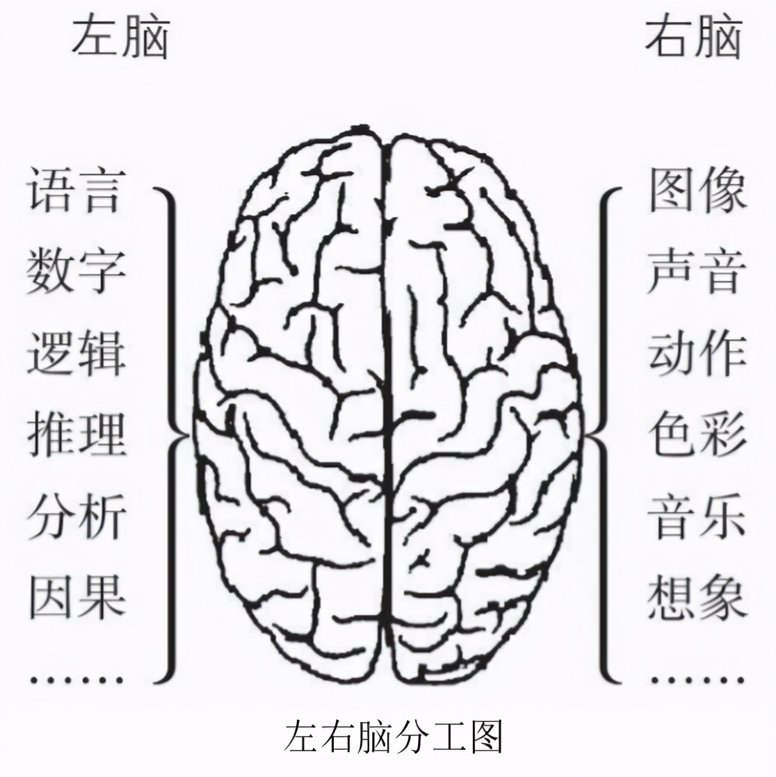 快速阅读训练法真的有效吗,快速阅读的训练方法和技巧