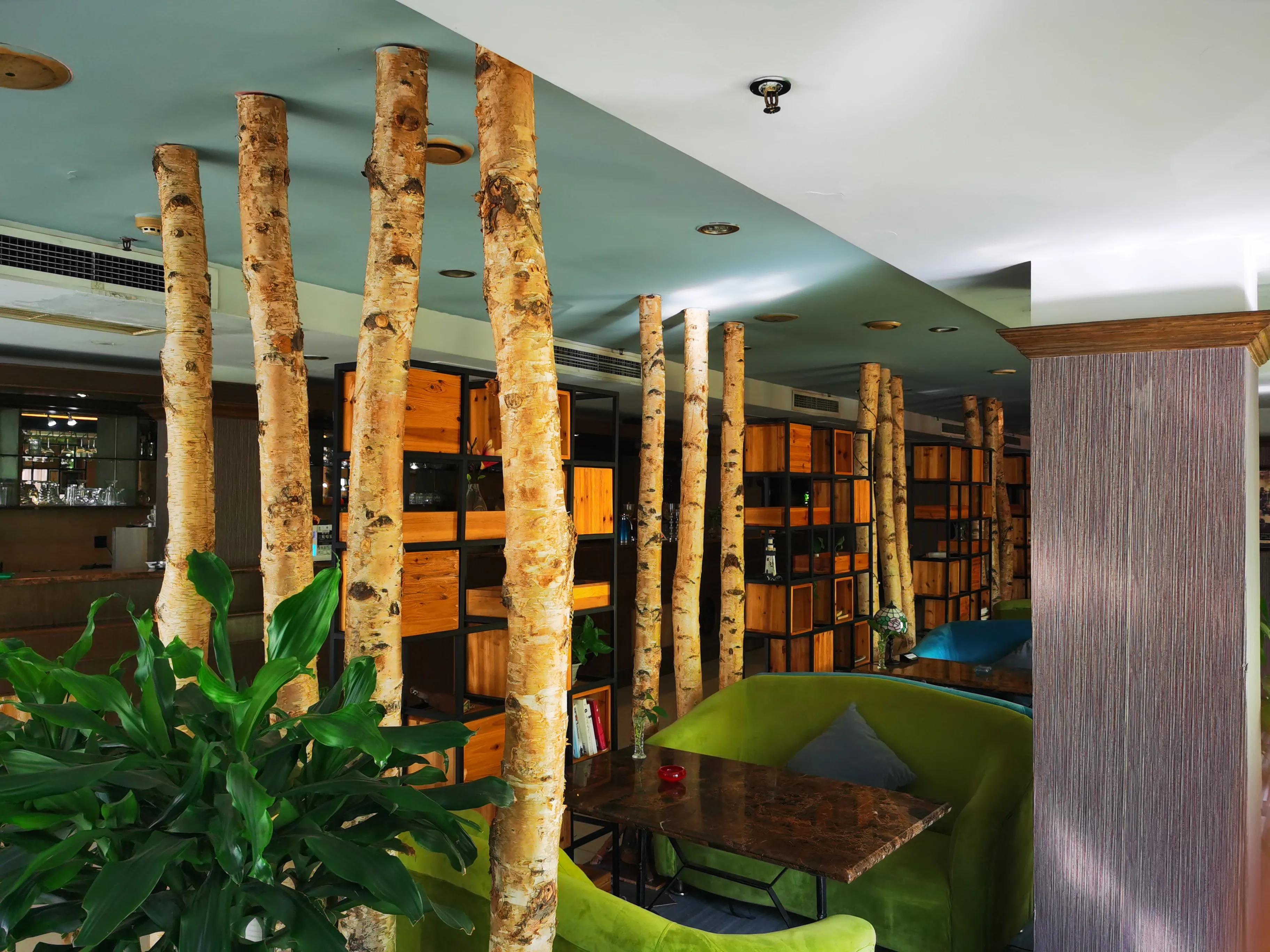 《高度关注》“米萝”咖啡的故事