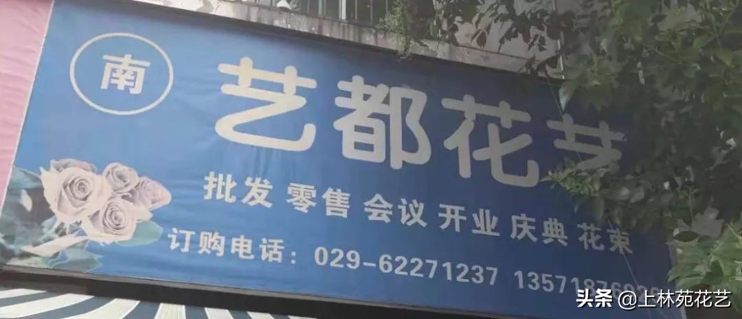 西安新年鲜花批发,西安鲜花店批发进货渠道