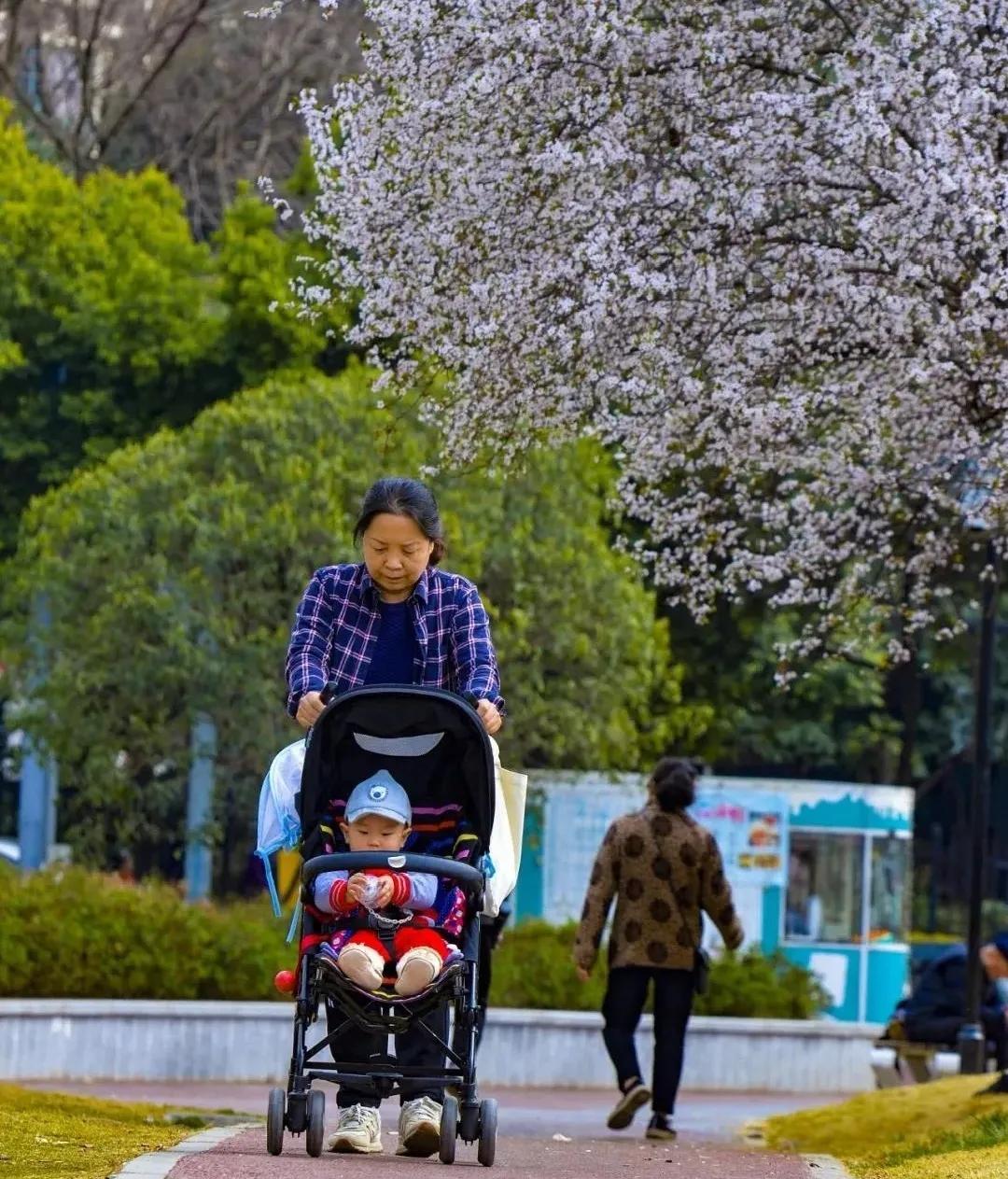十年来有多少人选择了成都成华？|成华融媒