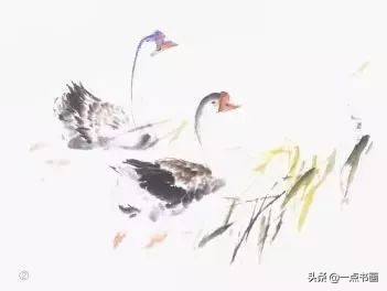 鹅画法可爱简单在陆地上行走,图文教程鹅写意画法