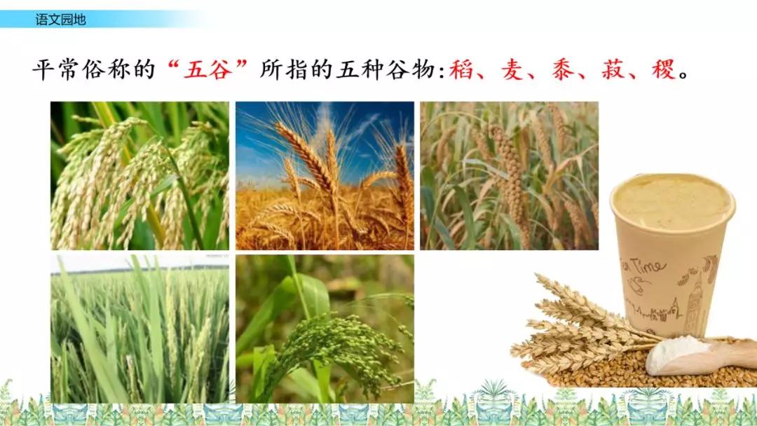 部编版六年级语文上全册课文课后习题参考答案，给孩子收藏