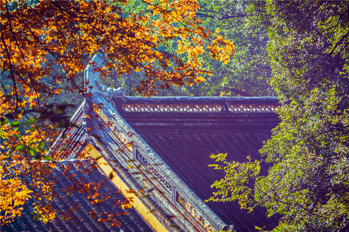 秋天苏州游玩,苏州旅游攻略秋天