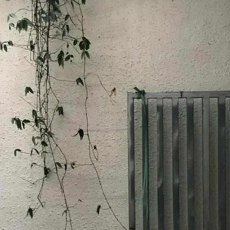 二十年后的家乡石门,我和我的家乡石门