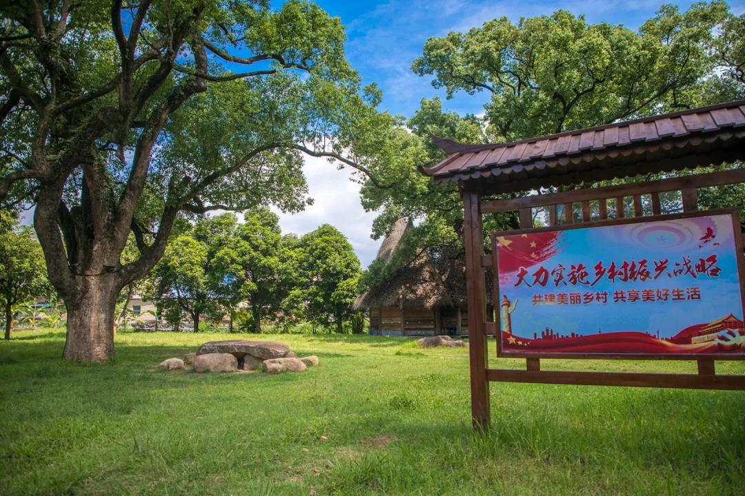 探访林溪山涧的森居之旅,长泰之旅